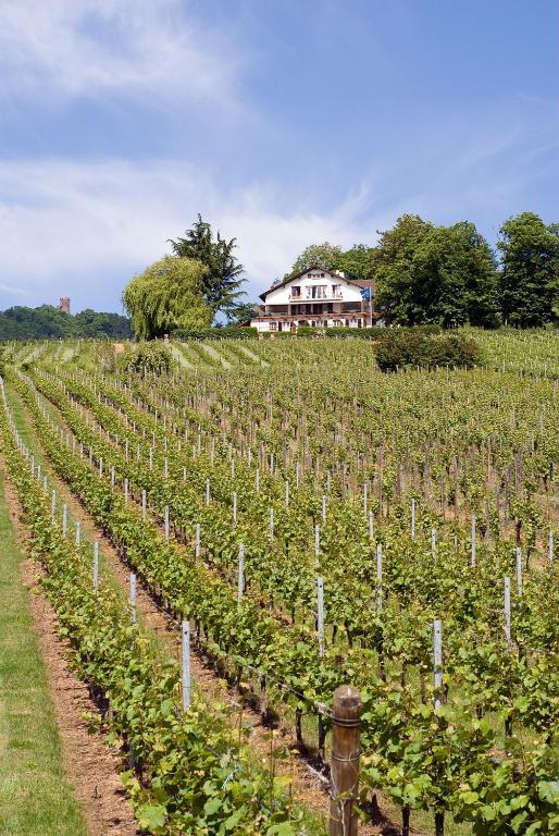 Le Clos Saint-Vincent Ribeauville  Bagian luar foto