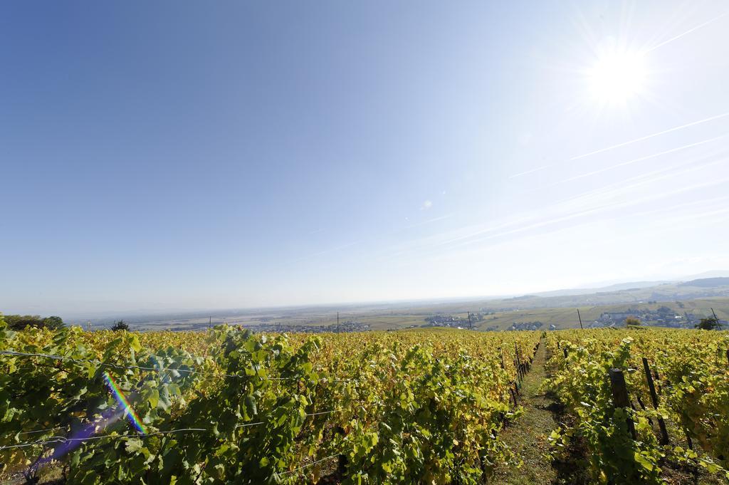 Le Clos Saint-Vincent Ribeauville  Bagian luar foto