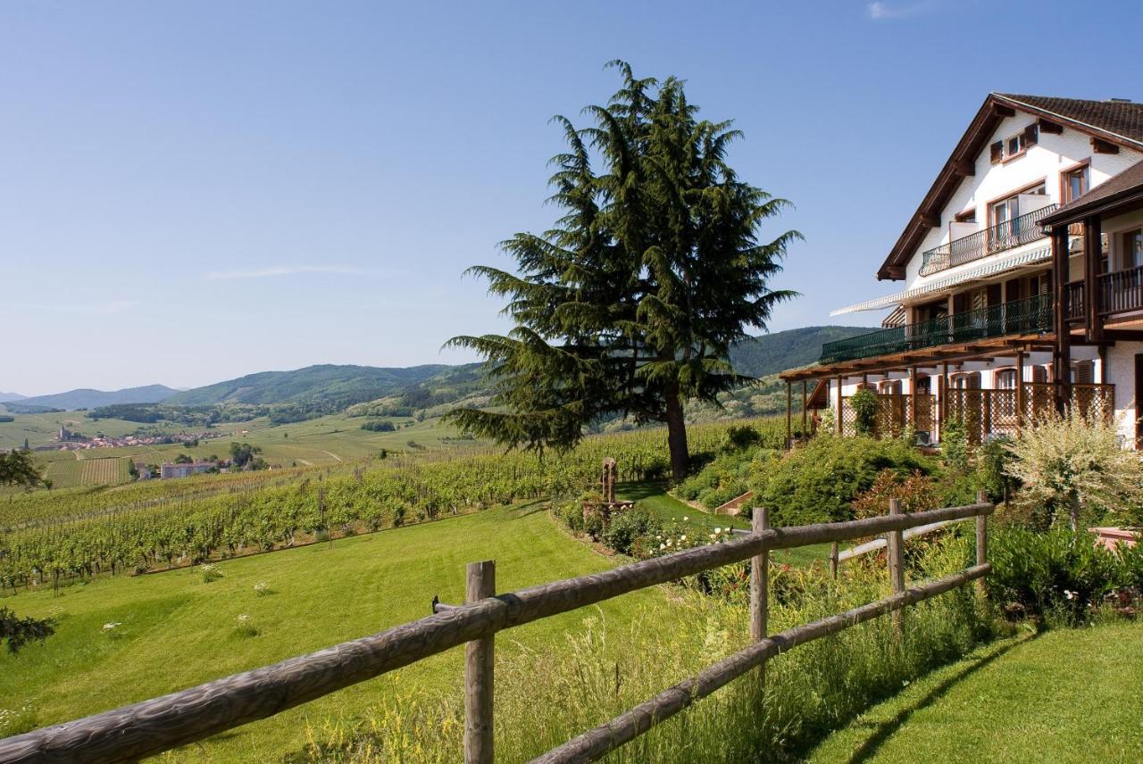 Le Clos Saint-Vincent Ribeauville  Bagian luar foto